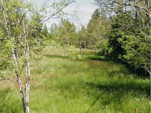 Terrain agricole