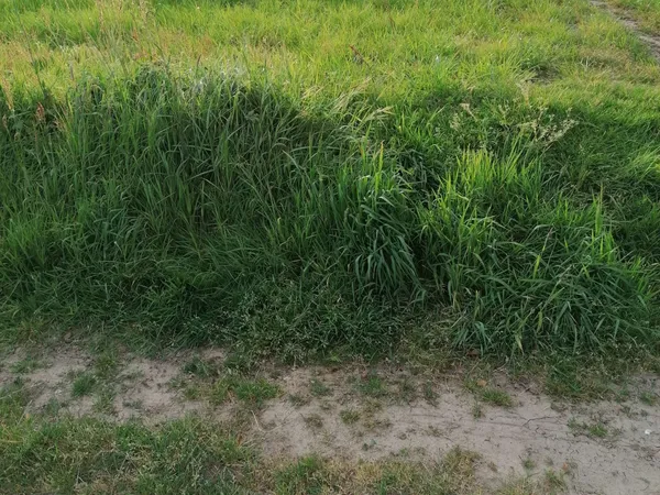 Terrain 489 m²