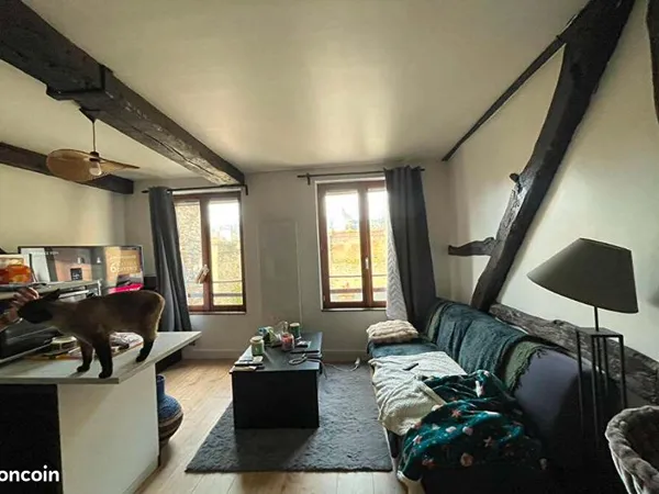 Appartement hyper centre