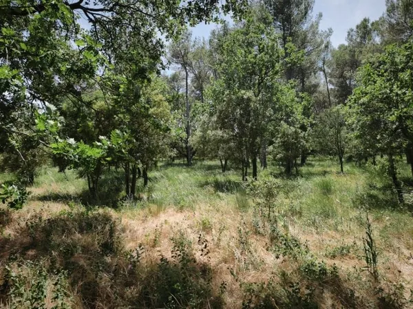 Terrain 655 m²