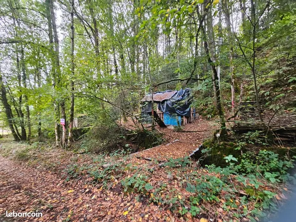 Terrain 1050m2 NC vic sur cere 15800 avec un cabanon