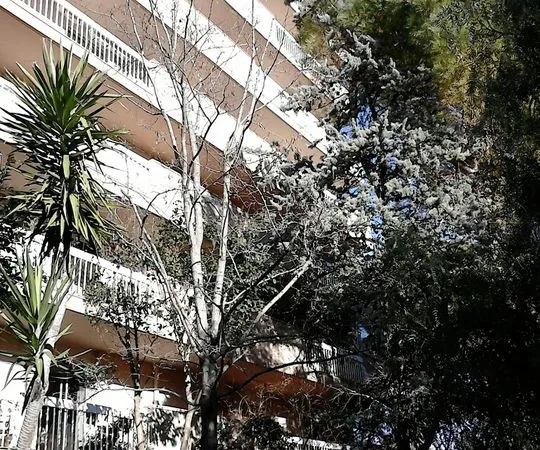 Appartement de 28m2 à louer sur Montpellier