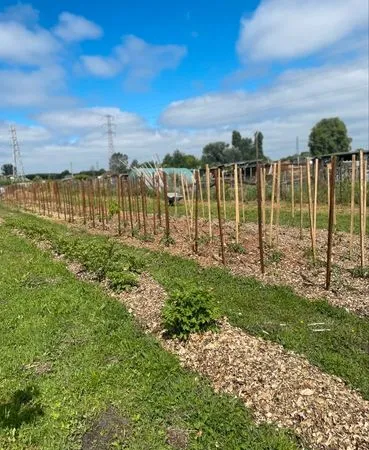 Parcelle de jardin potager a louer