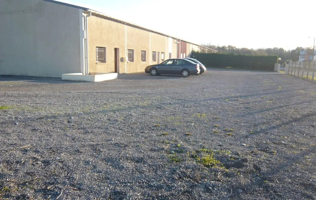Photo 1