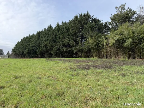 Terrain 3300 m² Lugon-et-l'Île-du-Carnay