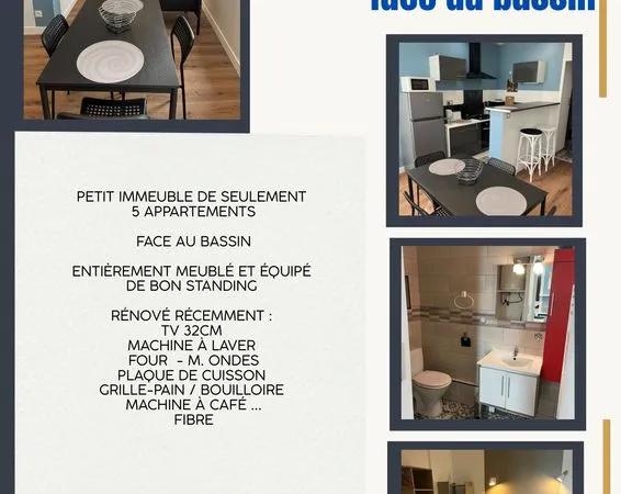 T 2 meuble renove face au bassin