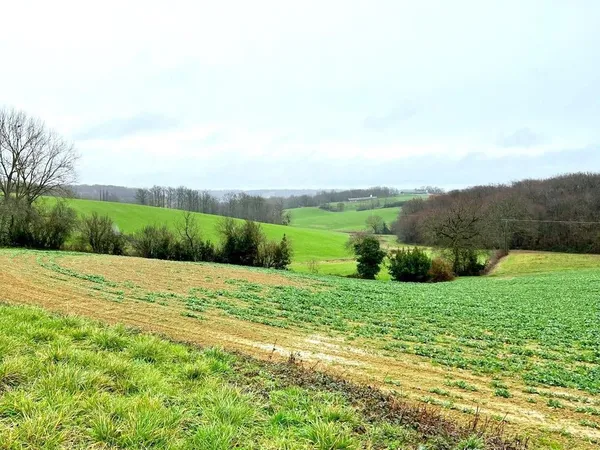 Terrain avec CU et hangar 290 m2