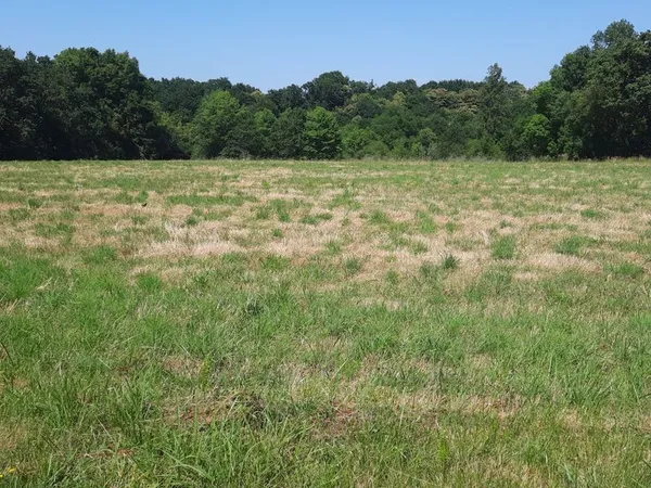 Vends terrain à bâtir avec CU 25 euros le m2