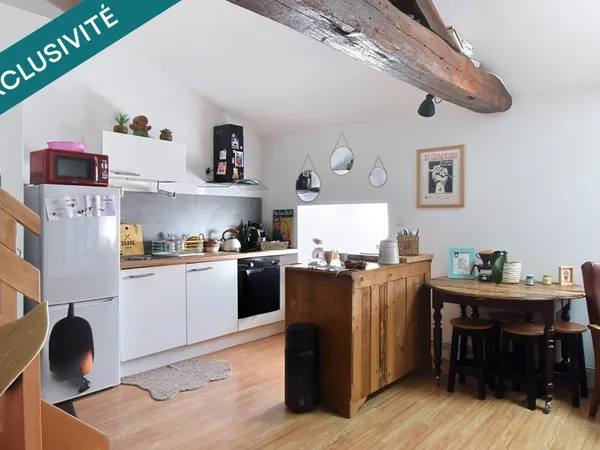 A découvrir situé au coeur de la ville de Mâcon cet appartement en duplex est idéal pour un investis