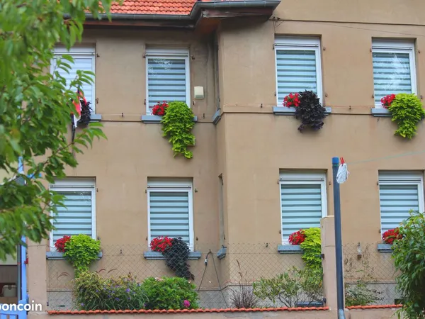 Maison en viager occupé