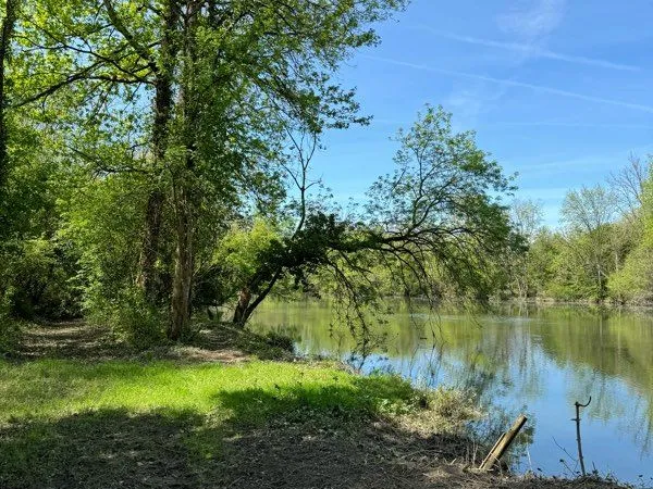 Terrain de loisirs en bord de Charente - 1 561 m² - Montignac-Charente