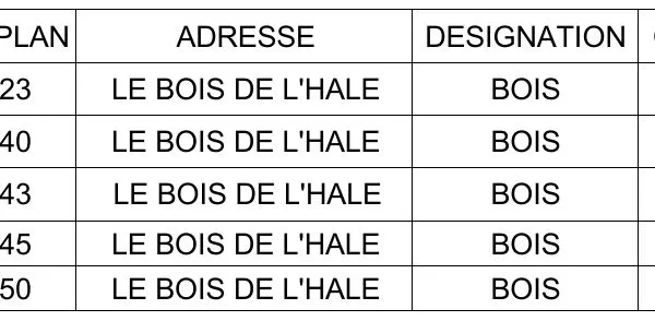 Bois dans la commune du Vernet la Varenne, près du village de Chauvaye ou la ville du Vernet la Vare