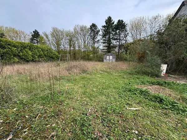 Terrain 565 m²