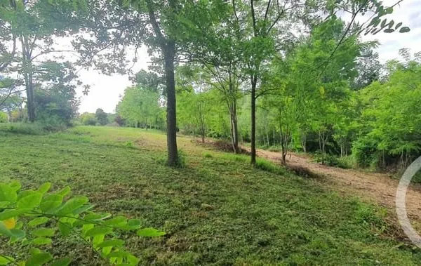 Terrain 2088 m²