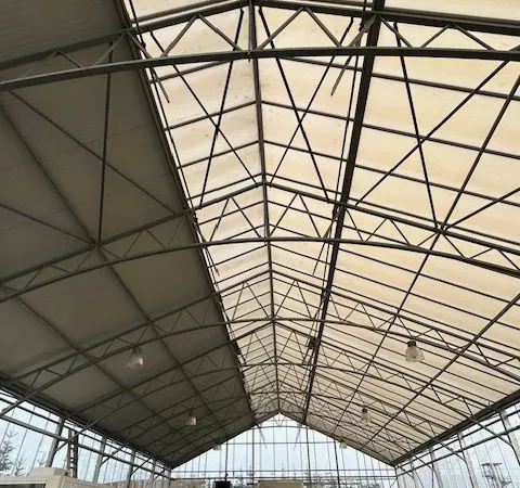 Local commercial 355 m2