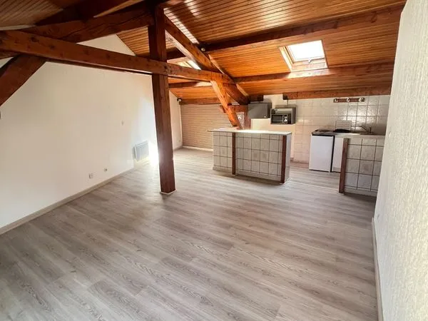 Appartement 1 pièce 50 m²