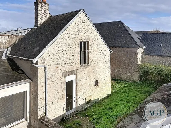 Immeuble Meung sur Loire en mono propriété