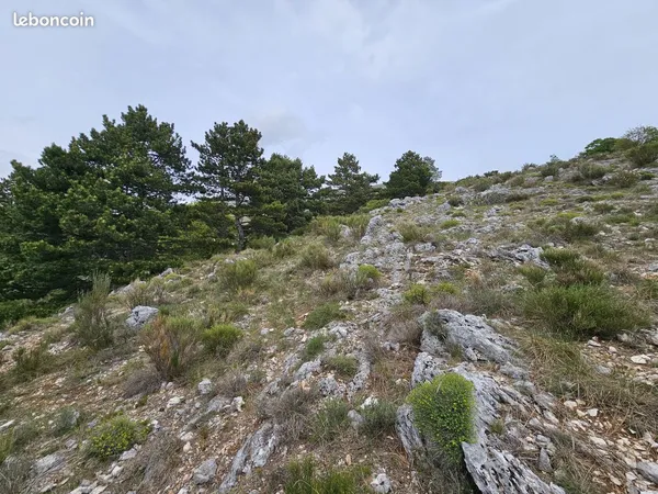 Vente | Terrain | SAINT VALLIER DE THIEY