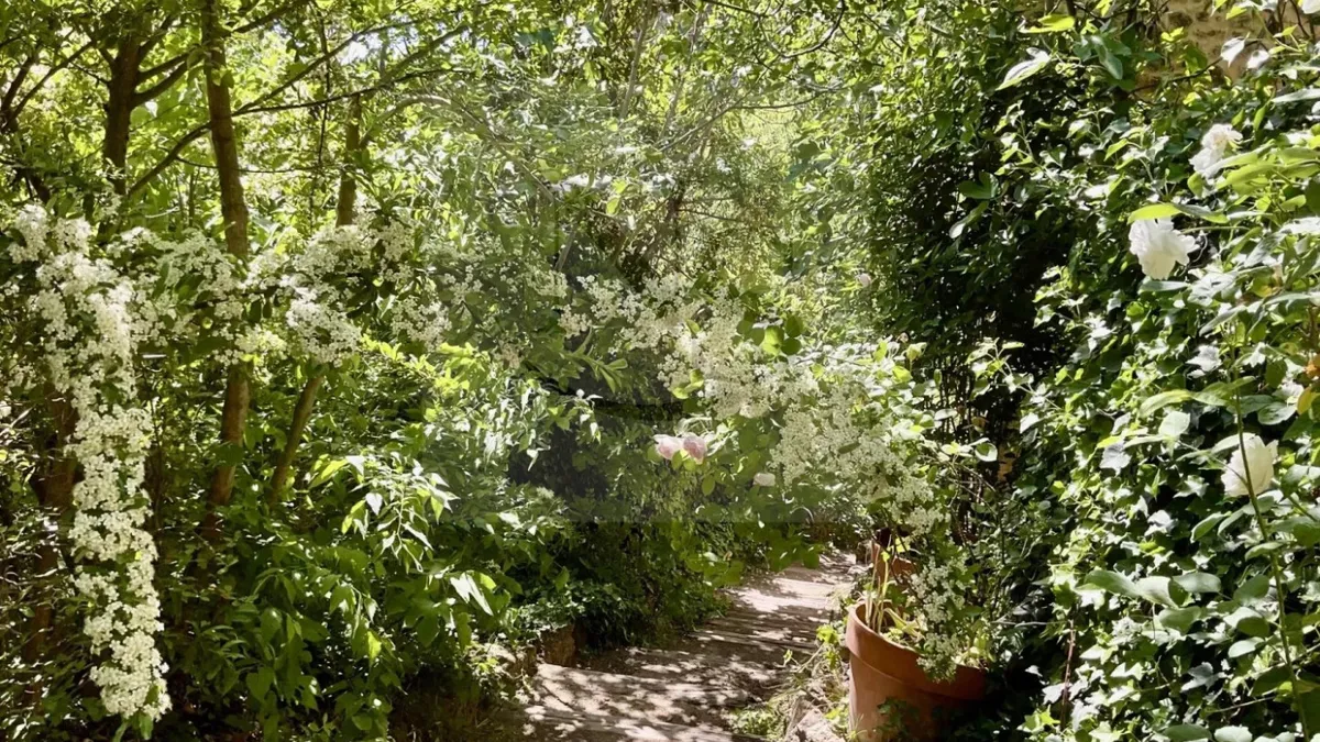 Photo 5