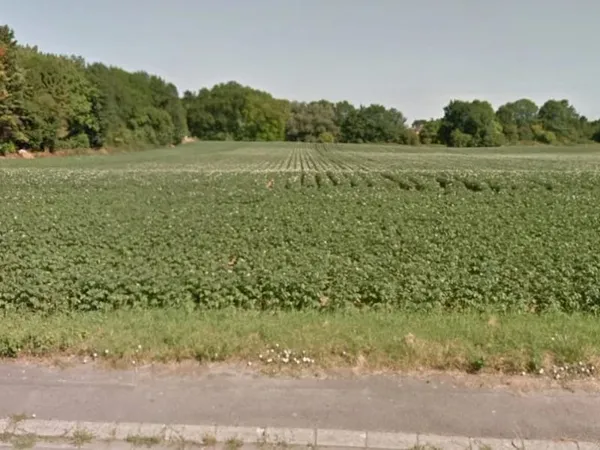 Terrain 733 m²