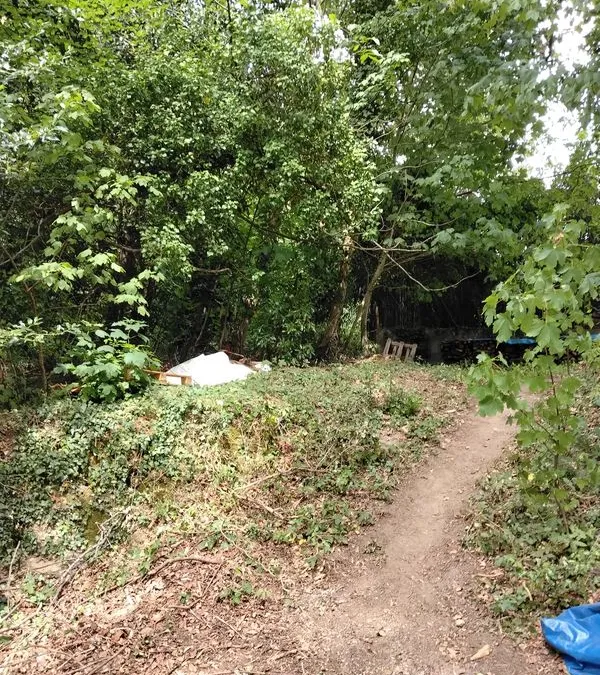 Photo 3
