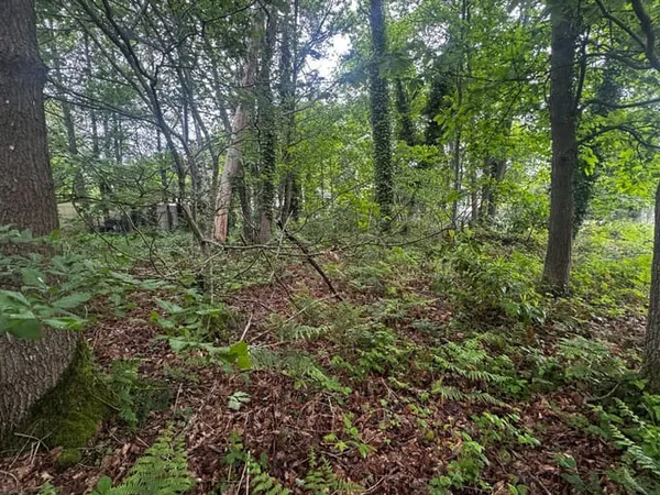 Terrain 537 m²
