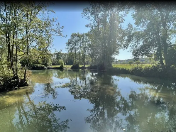 Domaine forestier