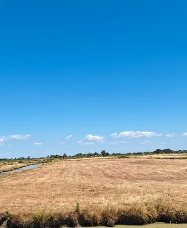 Terrain de marais de 7 140 m²