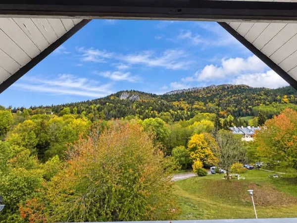 Appartement 1 pièce 14 m²