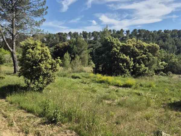 Terrain 305 m²