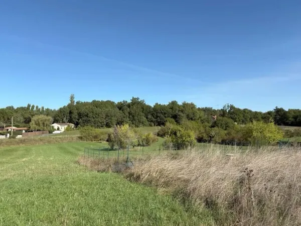 Terrain 1000 m²