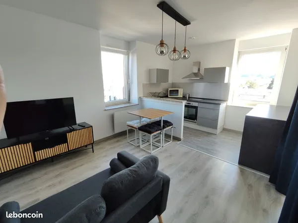 F1 BIS MEUBLÉ 33 m² - VUE EXCEPTIONNELLE SUR LE SCHLOSSBERG - FORBACH