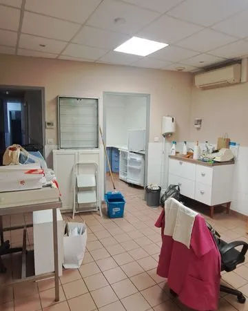 Murs cabinet veterinaire