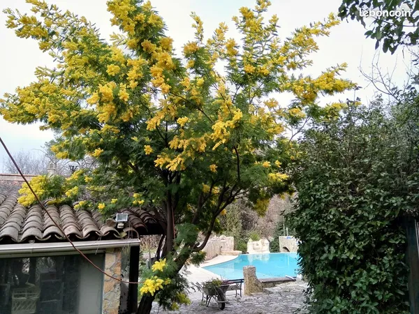 Loue Villa avec piscine