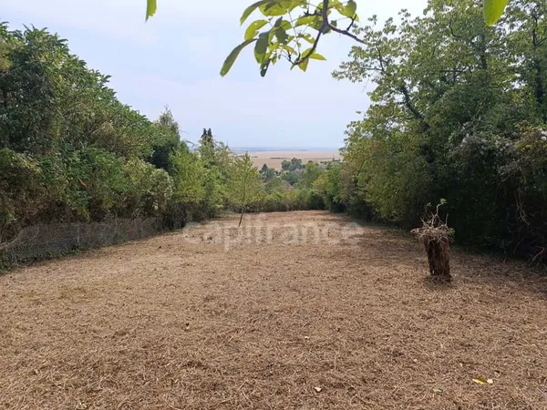 Terrain à vendre de 1 530,00 m² BELLECHAUME (89)