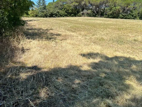 Terrain 7195 m2