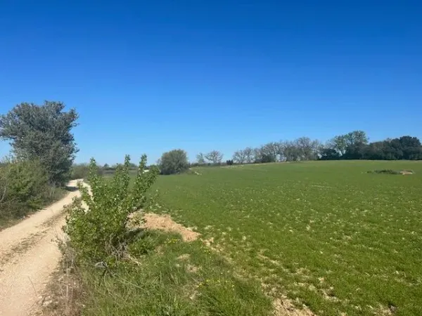 Terrain 21778 m²