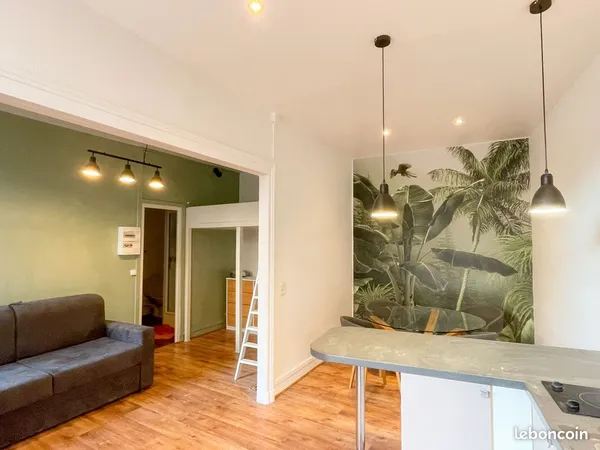 Grand studio 28m2 - centre ville