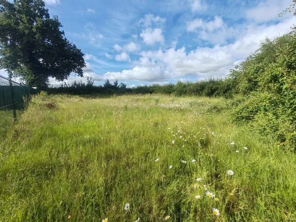 Terrain 779m²