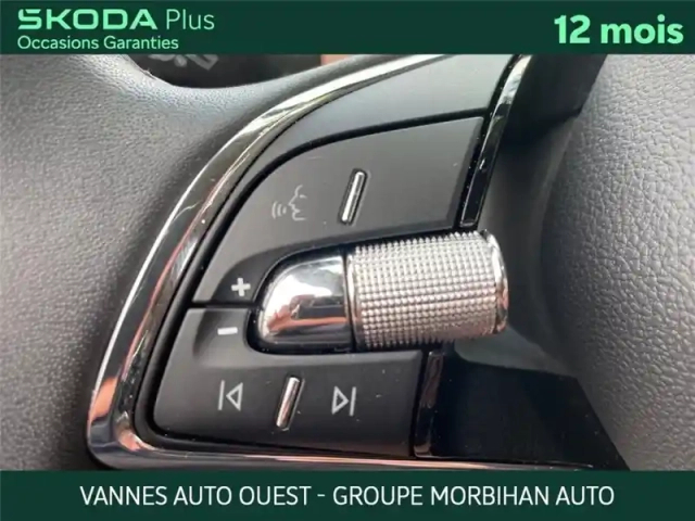Skoda Enyaq iv 60 — photo 18