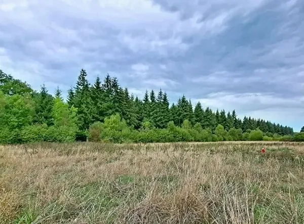 Terrain 1933 m²