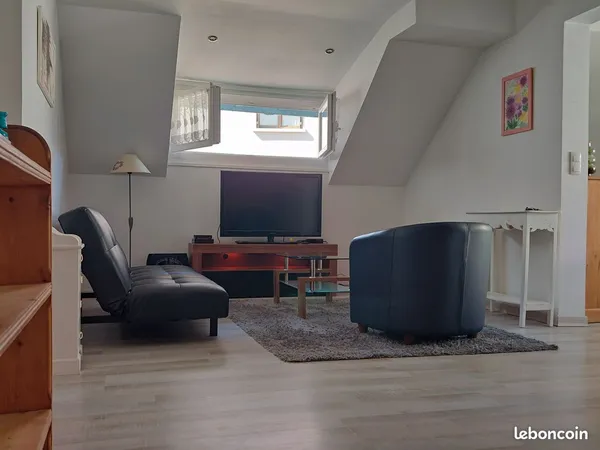 Grand T2 lumineux de 50m² carrez (67m² au sol) avec jardin au coeur d'Annecy