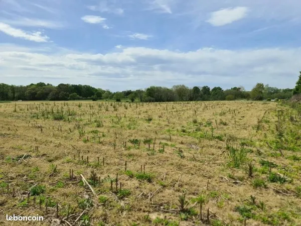 Vente | Terrain constructible | 584 m² | Sainte-Marie-de-Gosse