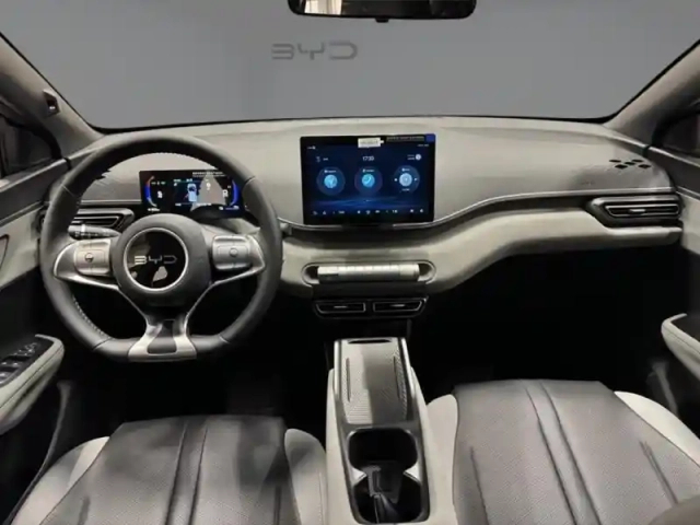 Byd Dolphin surf comfort 115 kw — photo 11