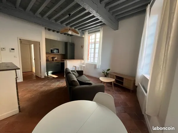 Appartement T2 43m2 rénové et entièrement meublé Plein coeur de Montauban- Au sein de la place Natio
