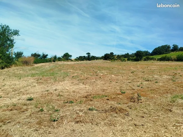 A vendre champs agricole