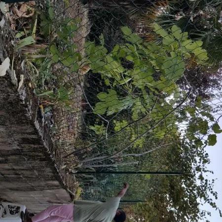 Location Maison avec jardin