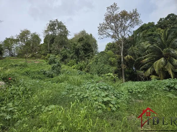 Terrain constructible les Abymes 97139 Guadeloupe