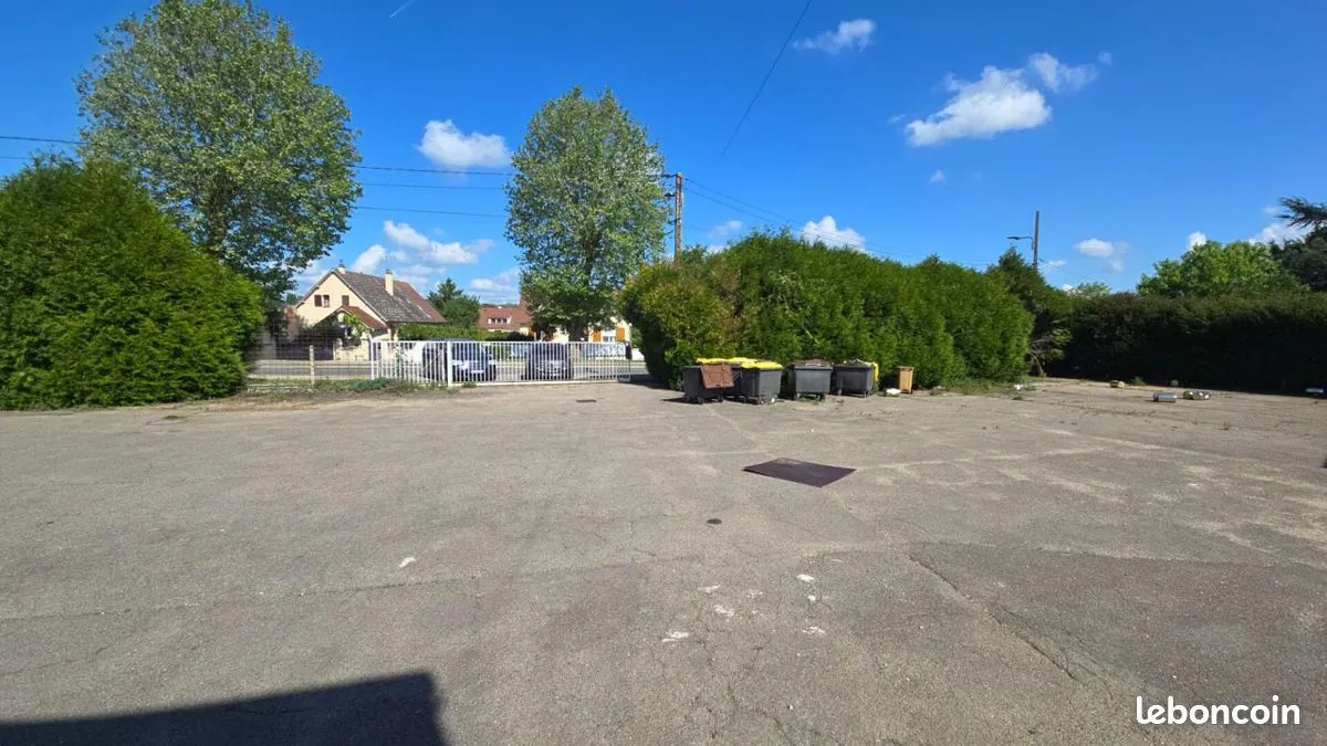 Photo 14