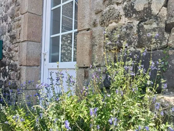 Maison 3 pièces 71 m²
